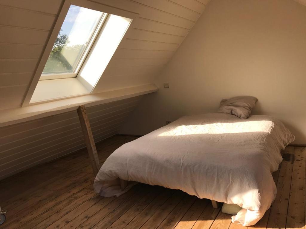 Privatunterkunft Minerva Antwerpen